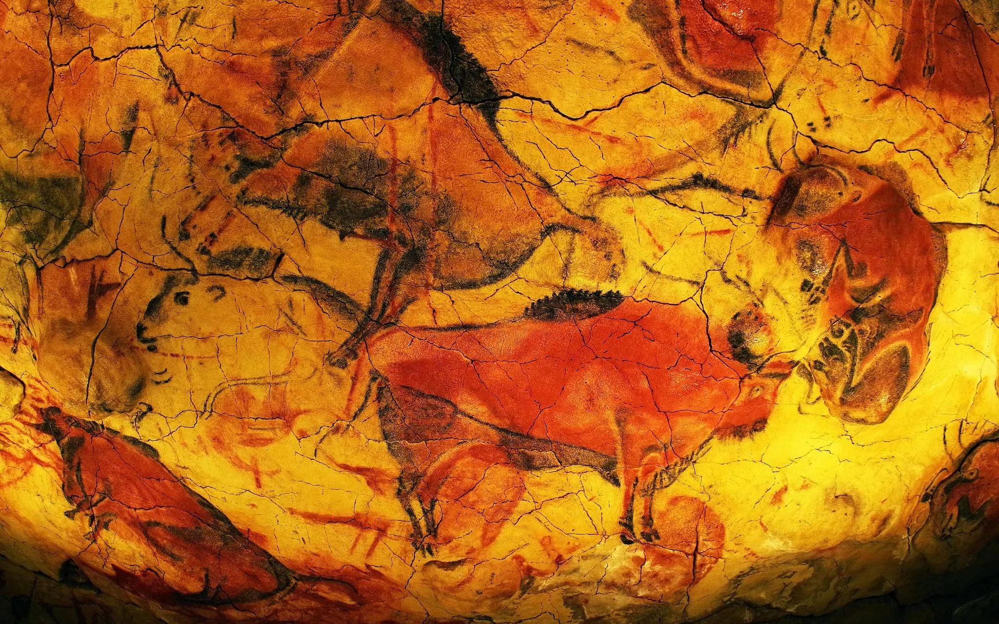 /images/cave.jpg